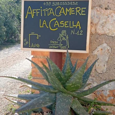 Affittacamere La Casella Monteriggioni Exterior foto