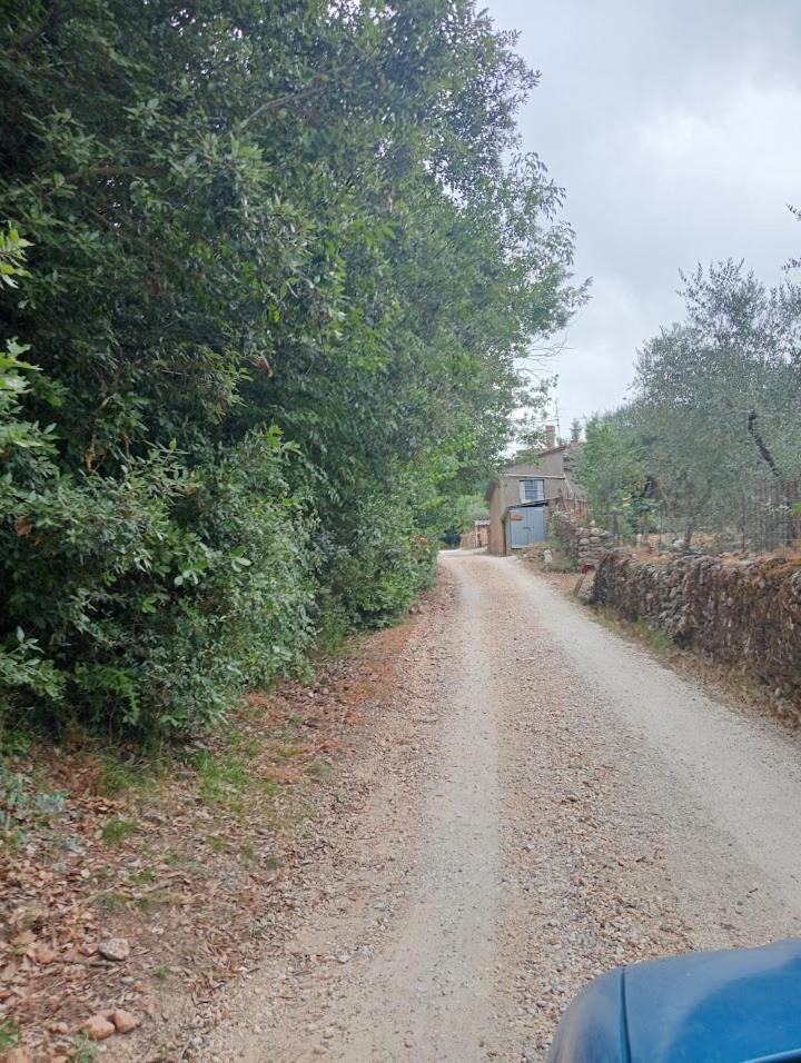 Affittacamere La Casella Monteriggioni Exterior foto